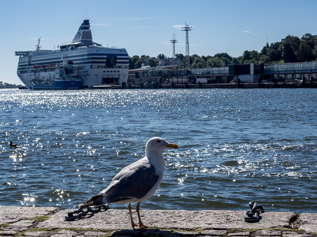 Finlandia w 3 dni? Czy to możliwe?