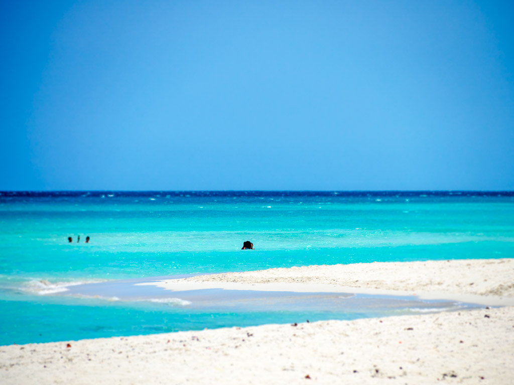 Żegnaj 2015, Witaj 2016!