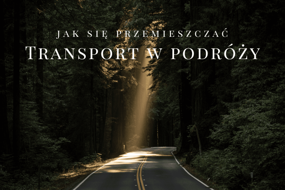 Transport w podróży