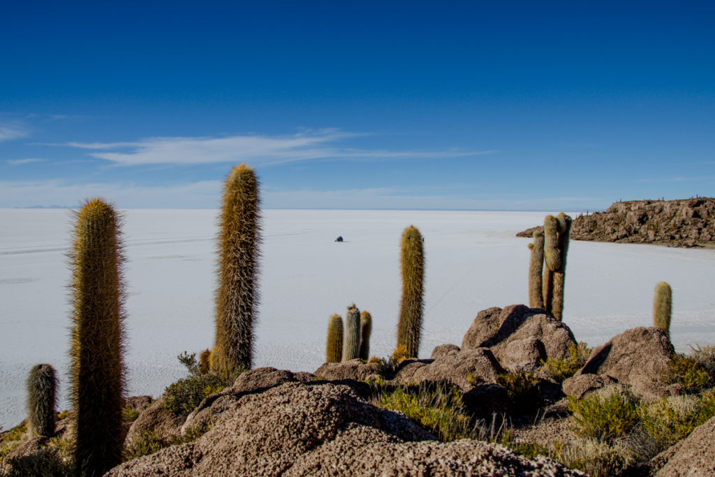 Salar de Uyuni Księżycowe krajobrazy na Salar de Uyuni