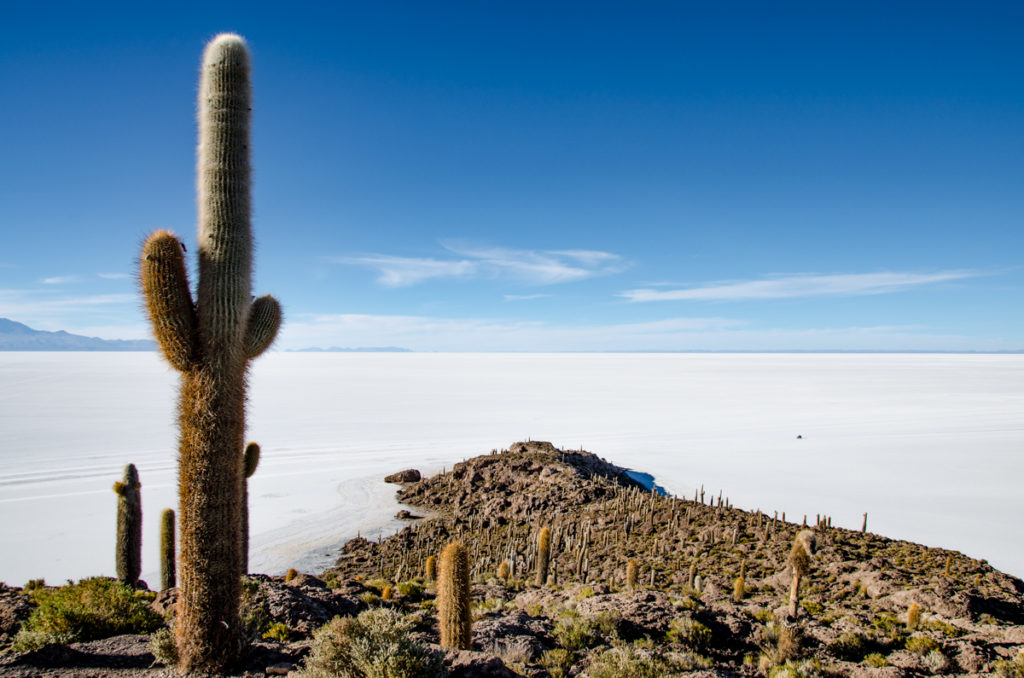 Salar de Uyuni Księżycowe krajobrazy na Salar de Uyuni