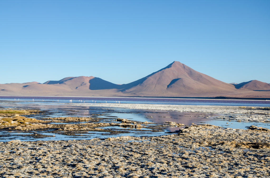Laguna Colorada Księżycowe krajobrazy na Salar de Uyuni