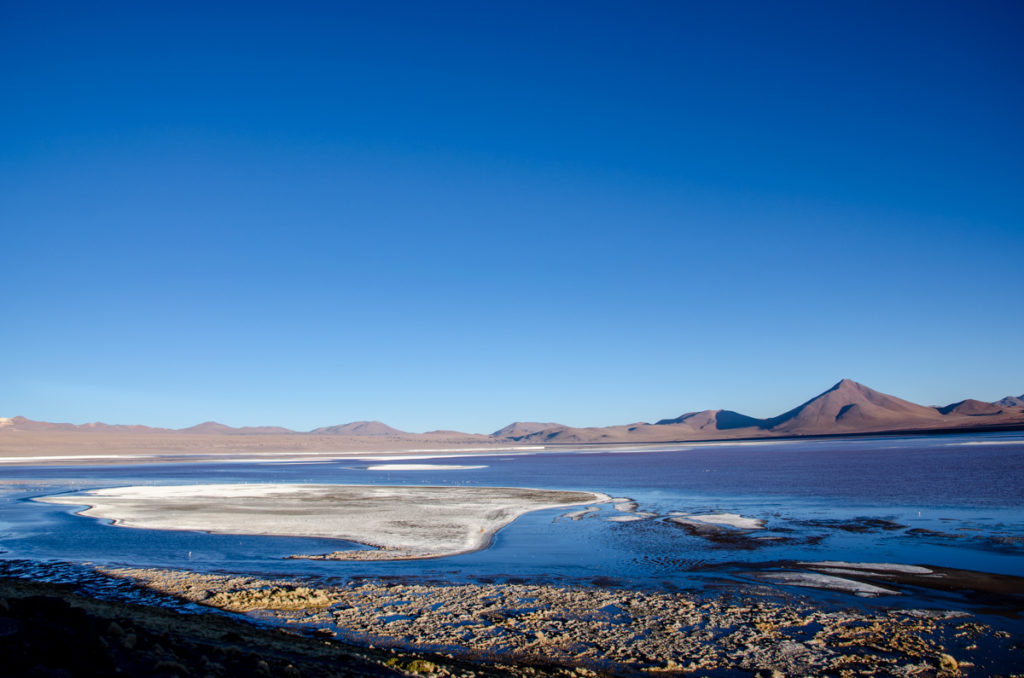 Laguna Colorada Księżycowe krajobrazy na Salar de Uyuni