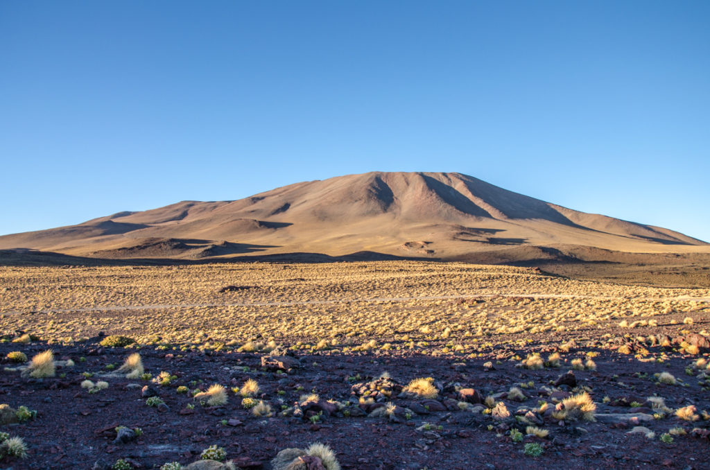Laguna Colorada Księżycowe krajobrazy na Salar de Uyuni