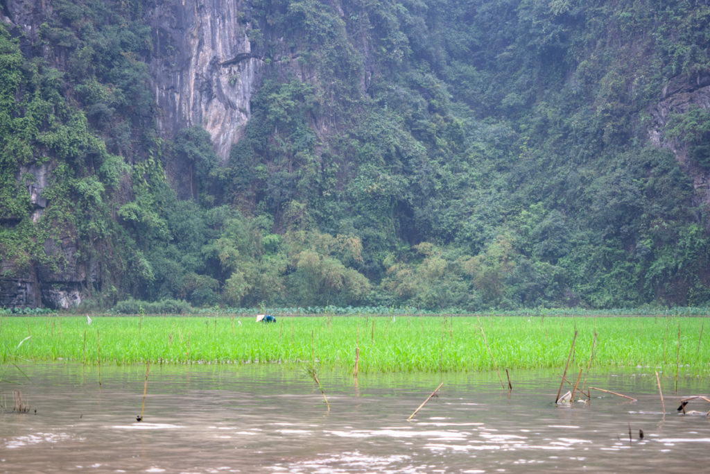 Ninh Binh