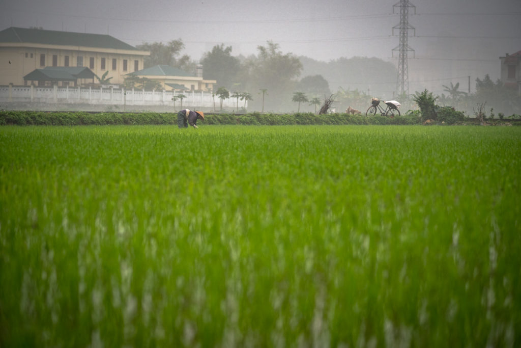 Ninh Binh