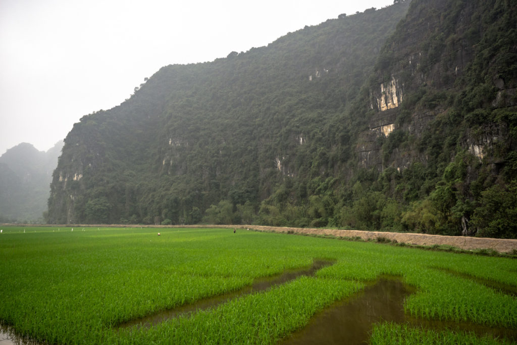 Tam Coc 