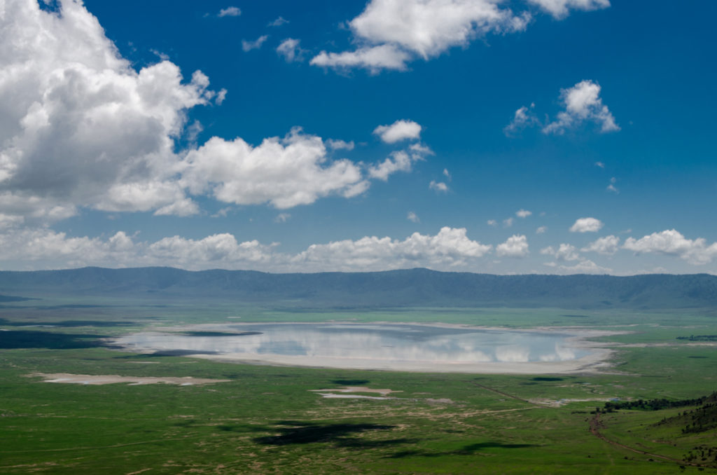 safari w Tanzanii Ngorongoro