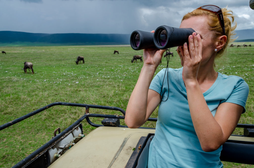 safari w Tanzanii