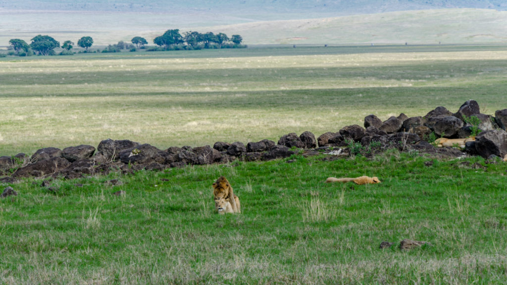 Krater Ngorongoro