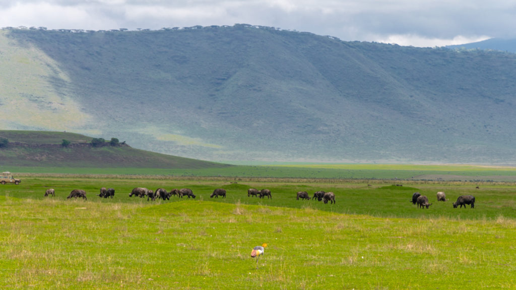 Tanzania