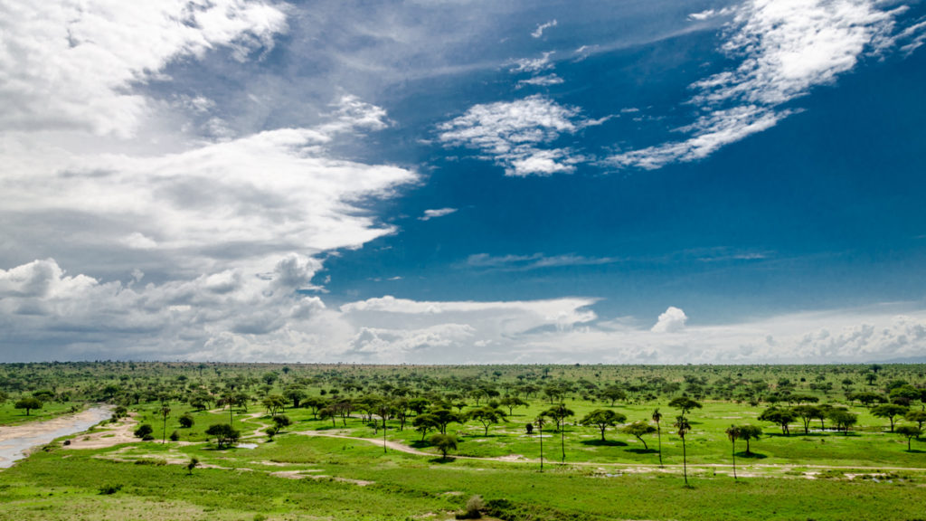 Tanzania