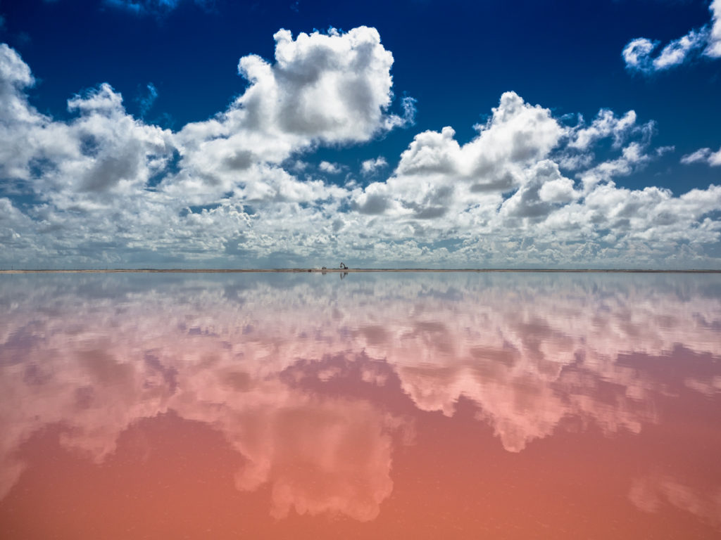 Różowa Laguna Las Coloradas, Meksyk