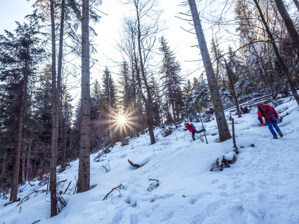 Polska Beskid Wyspowy