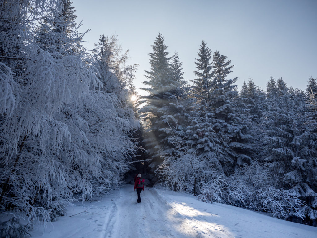 Polska Beskid Wyspowy