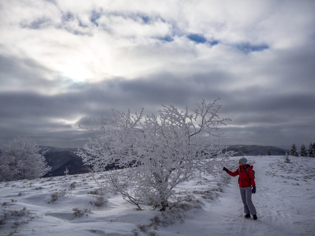 Polska Beskid Wyspowy