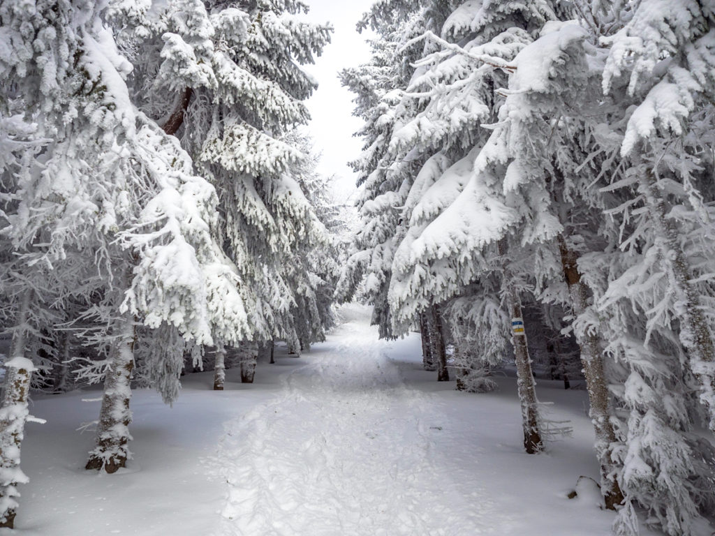 Polska Beskid Wyspowy