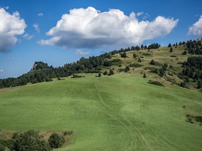 WYCIECZKA NA WYSOKĄ 