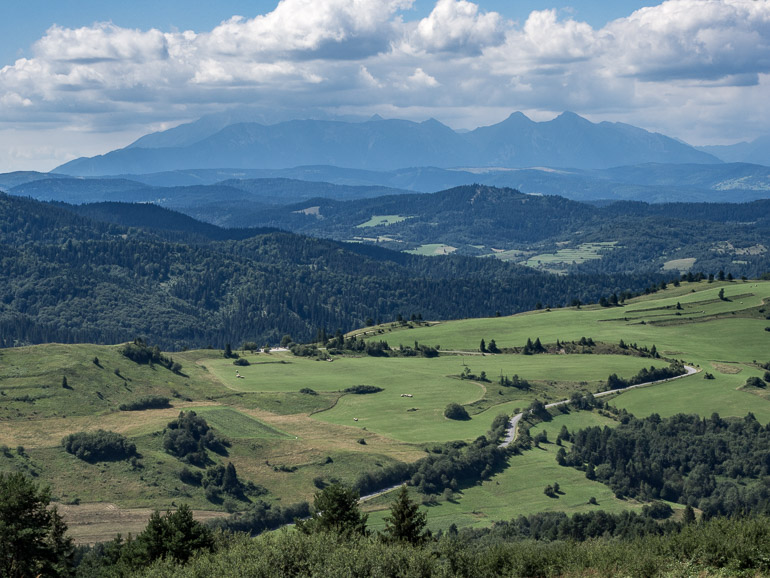 WYCIECZKA NA WYSOKĄ 