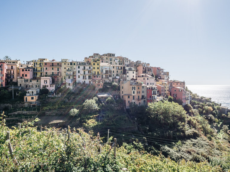 Manarola