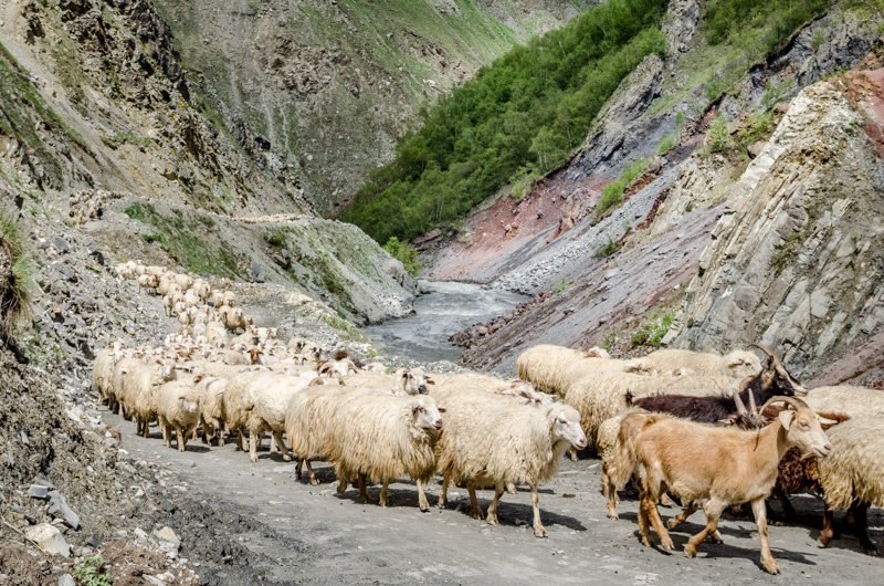 Dolina Truso, Gruzja