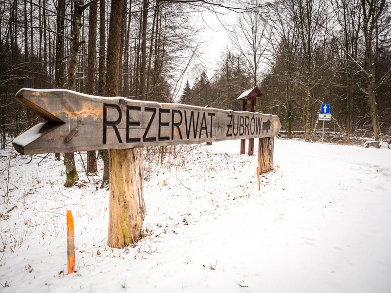 Rezerwat Żubrów w Białowieży