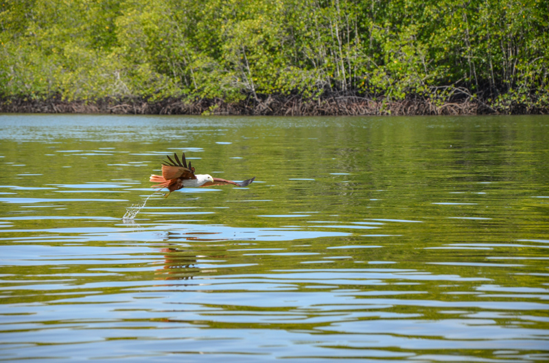 Kilim Karst Geoforest Park