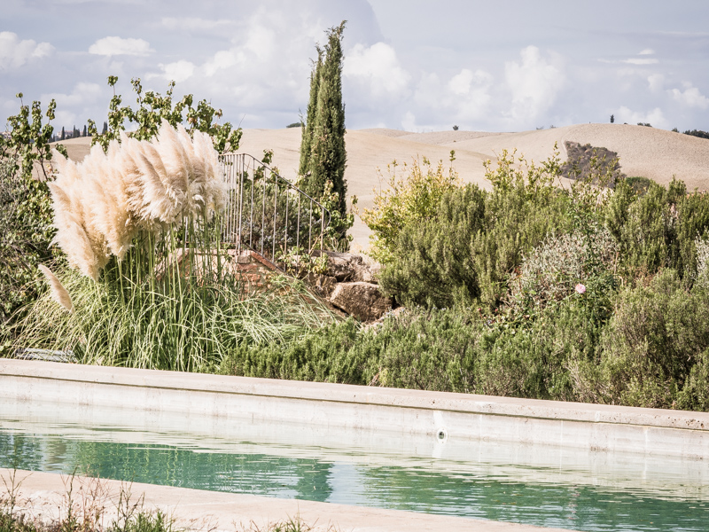 Le Sorbelle d'Orcia