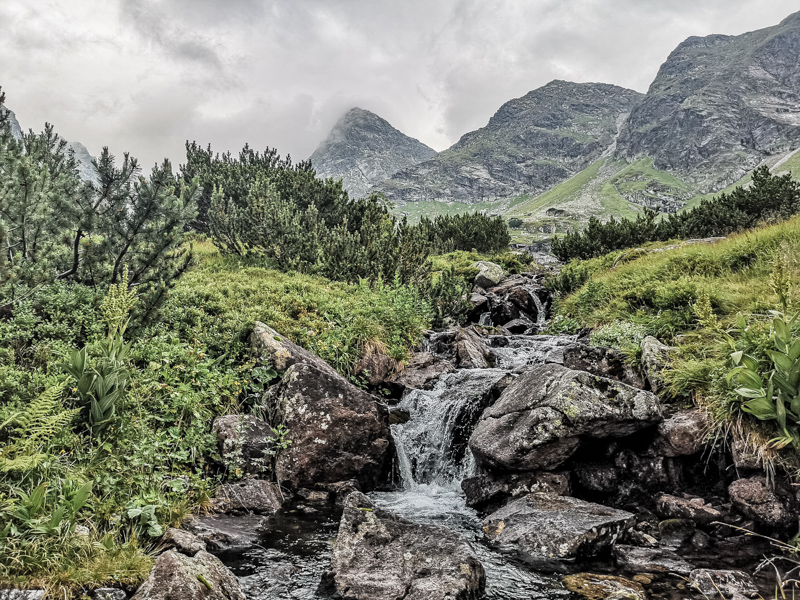 Tatry