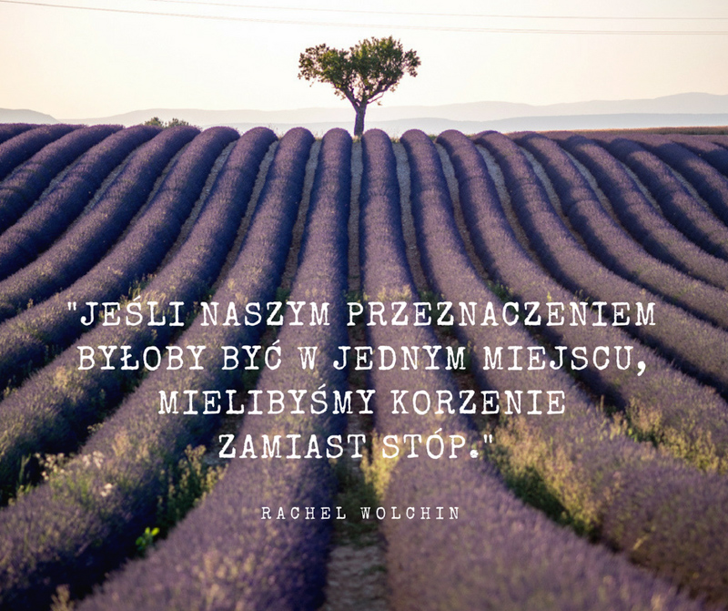 cytaty podróżnicze