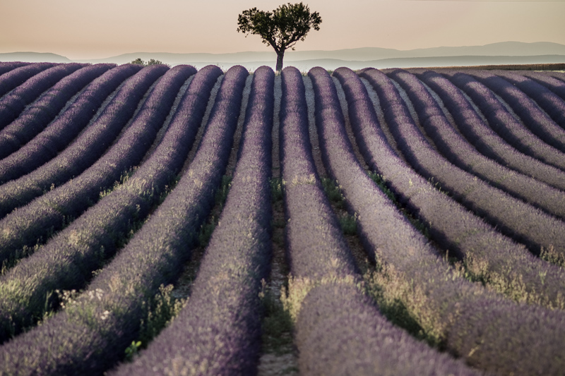 Prowansja, Francja