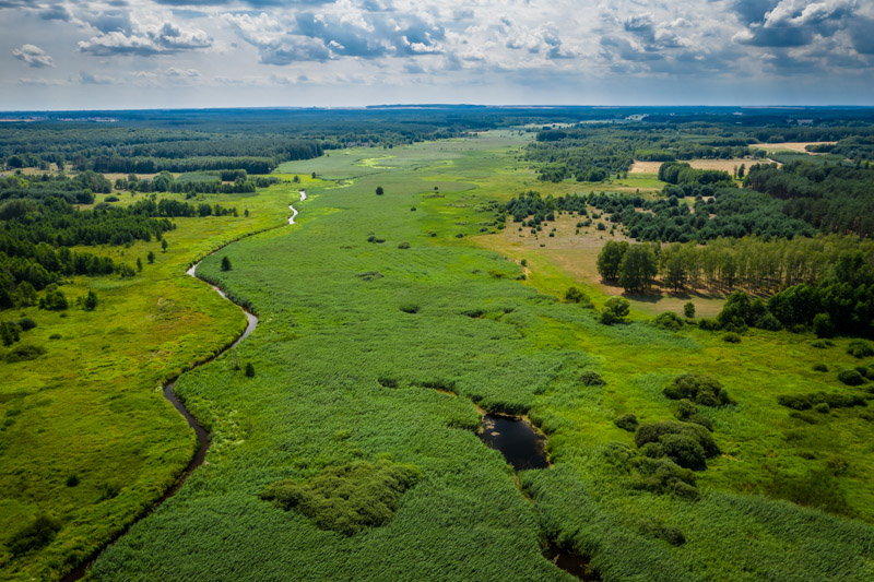 spływy kajakowe