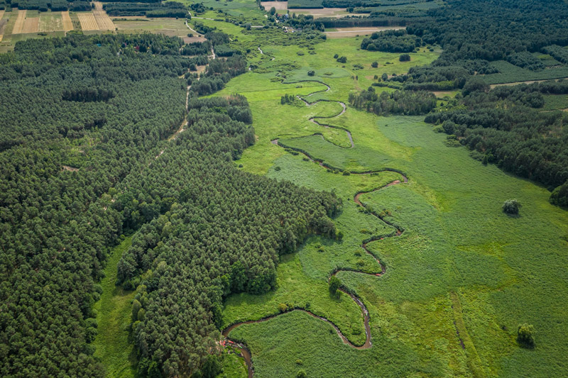 spływy kajakowe