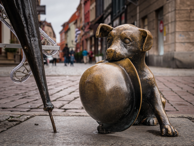 Toruń na weekend