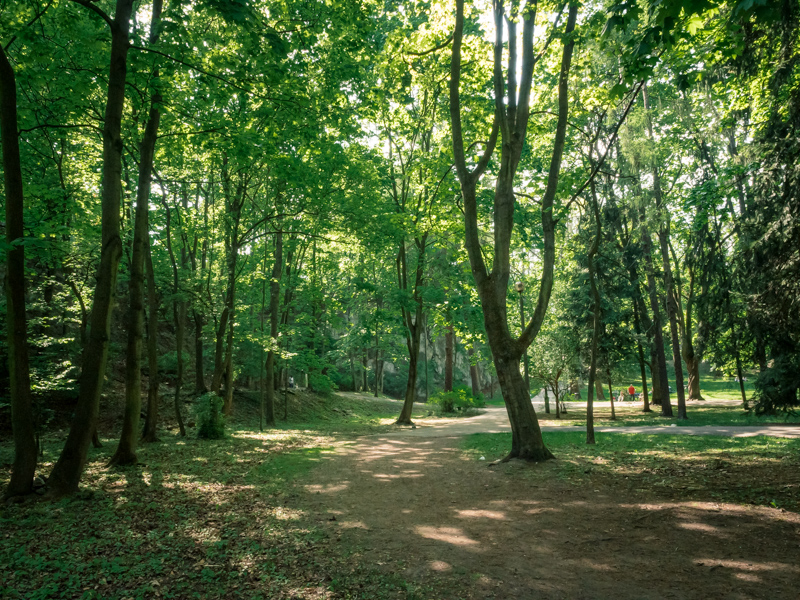 Park Bednarskiego