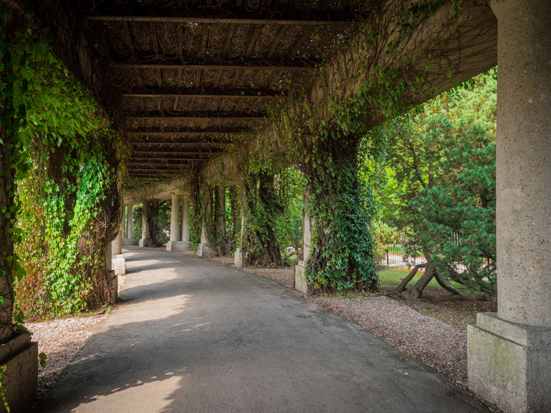 Pergola, Wrocław