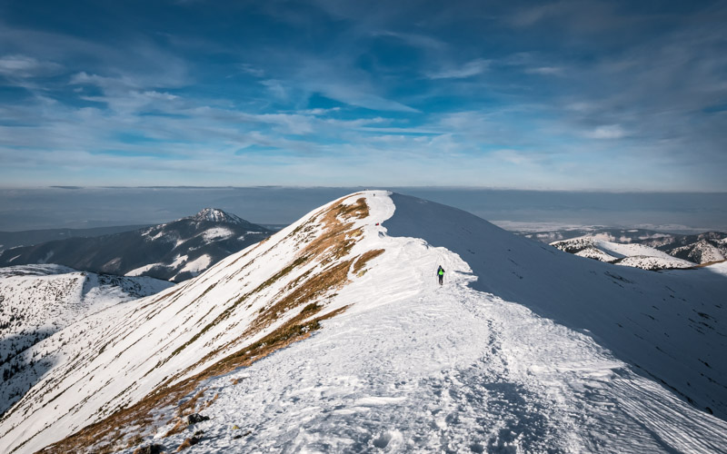 Rakoń, Tatry