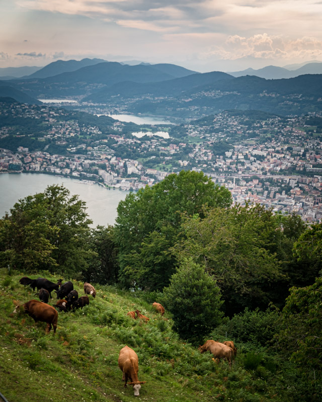 Monte Bre, Lugano