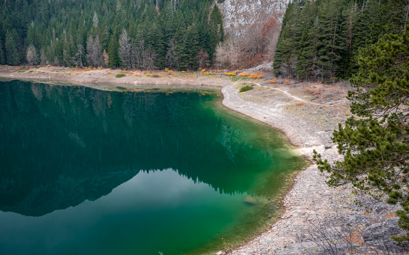 Czarne Jezioro Czarnogóra