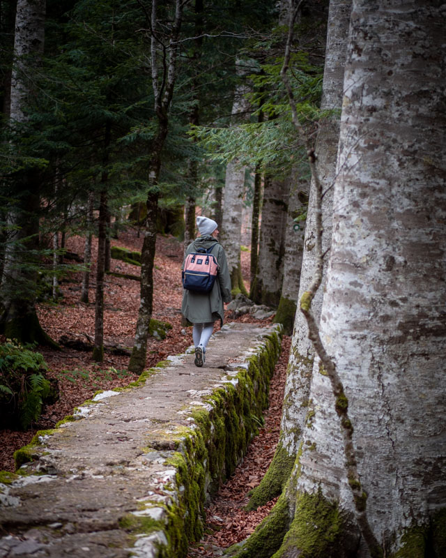 Biogradska Gora