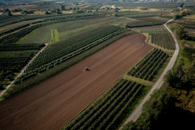 Sandomierski Szlak Jabłkowy