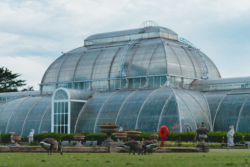 Kew Gardens Londyn