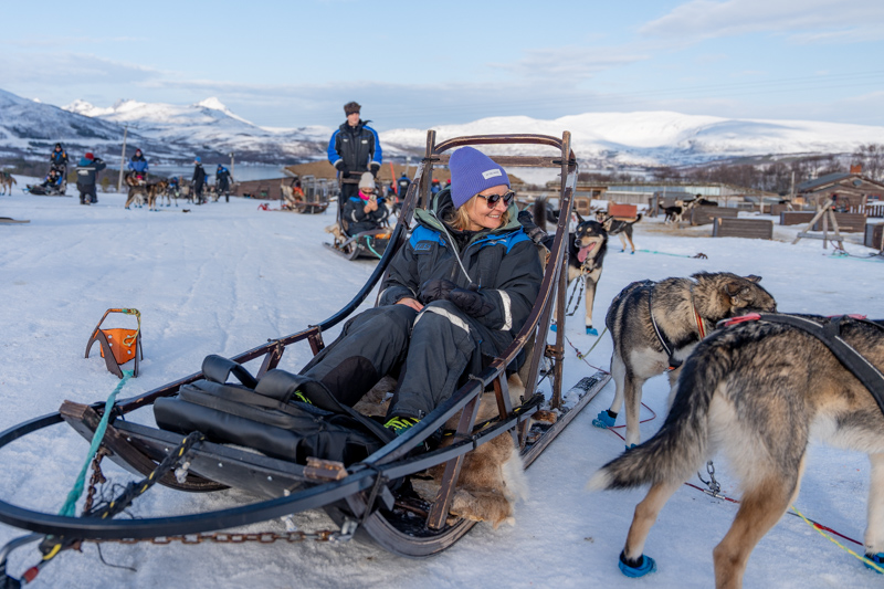 Psie zaprzęgi Tromsø 