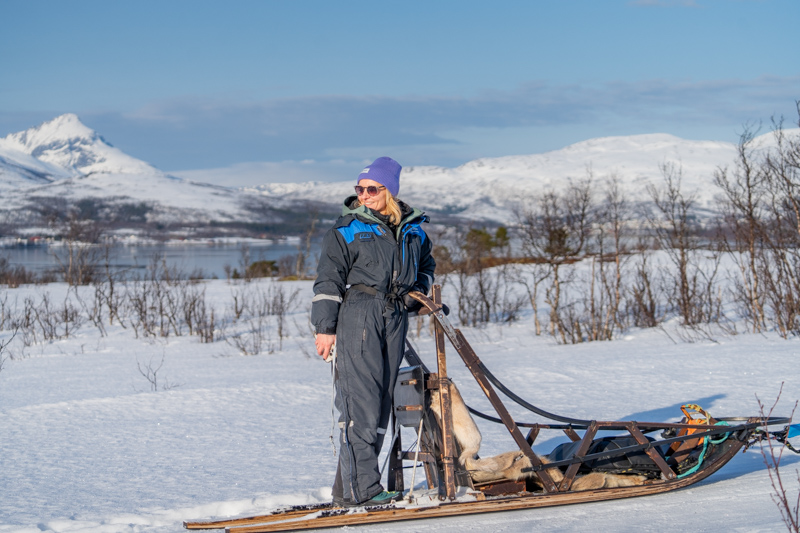 Psie zaprzęgi Tromso