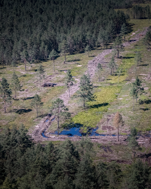 Torfowisko Baligówka